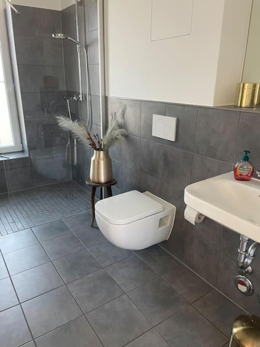 Penthouse-wohnung Mit Flussblick Appartement