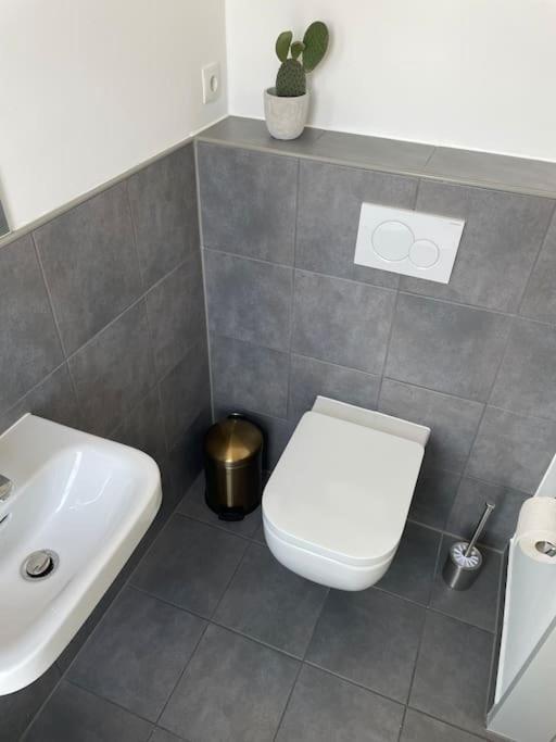 Appartement Penthouse-wohnung Mit Flussblick