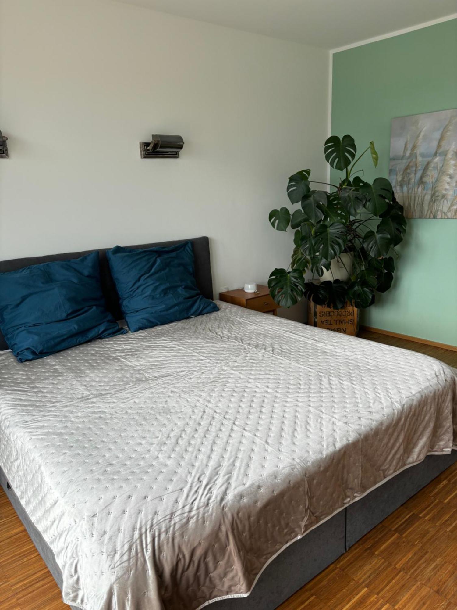 Apartment Penthouse-wohnung Mit Flussblick *